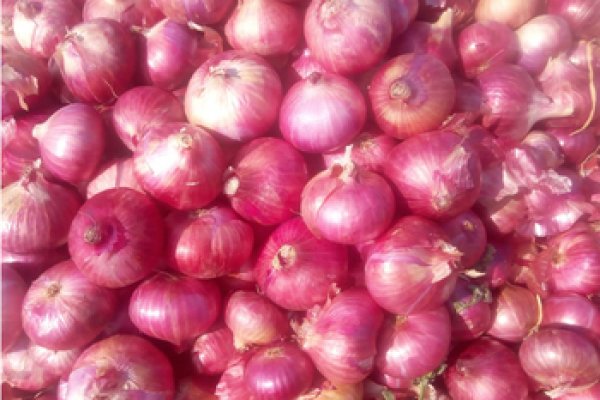 Kraken onion в обход блокировки